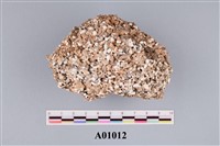 藏品(藻類化石(藻球))的圖片